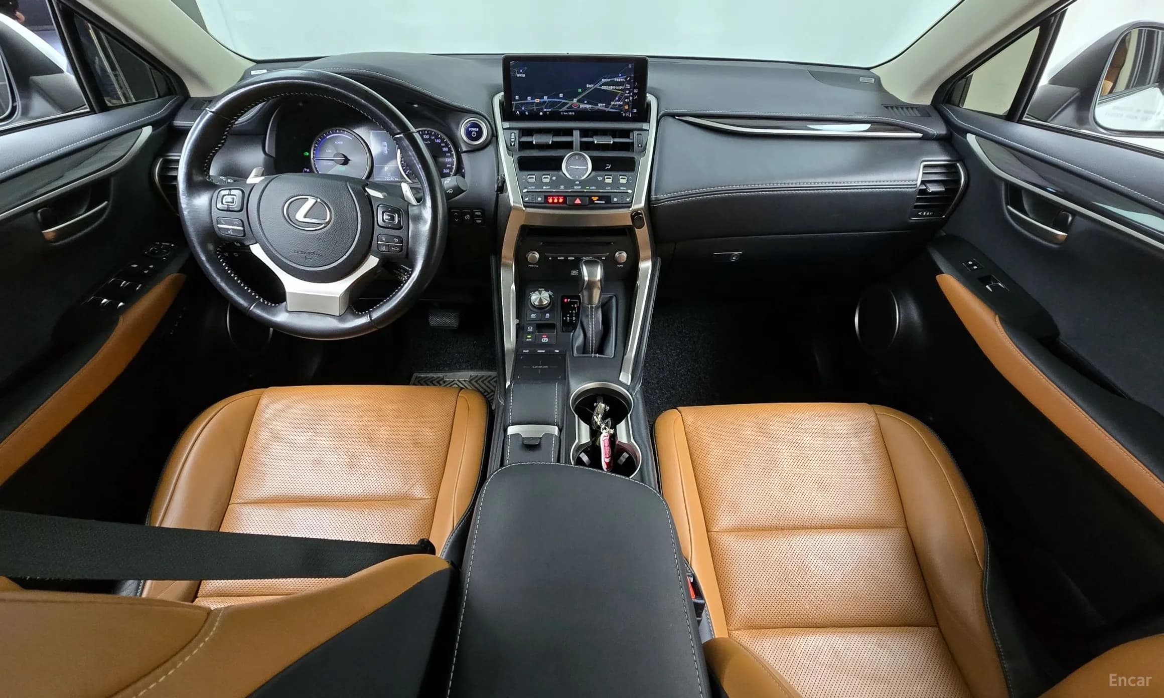 NX300h