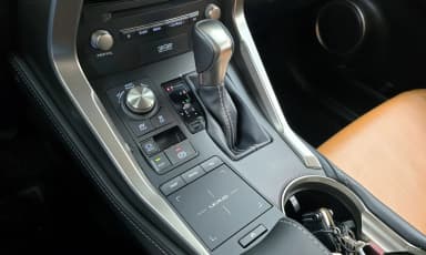 NX300h