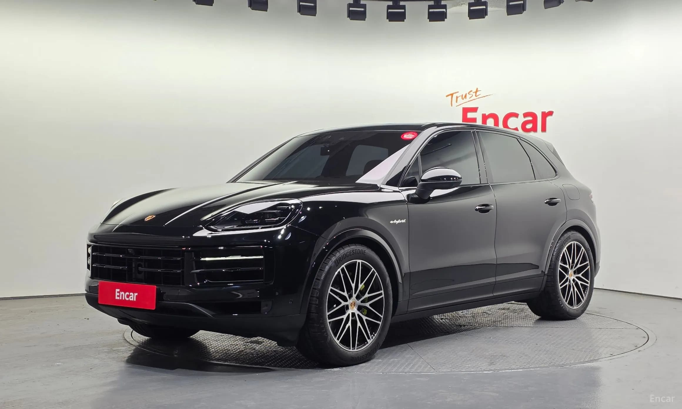 Cayenne (PO536)