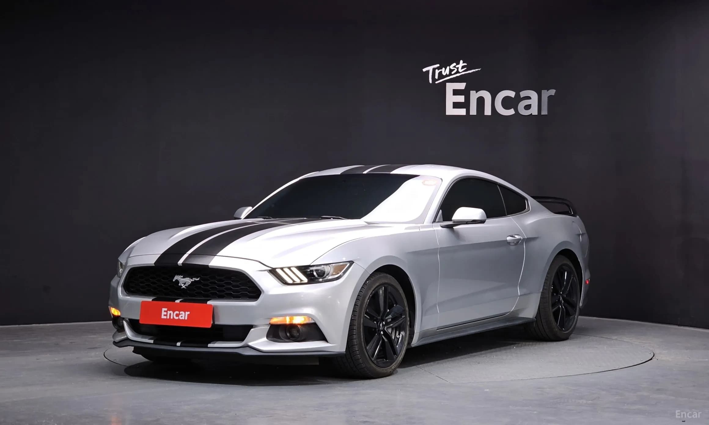 Mustang