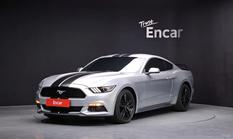 Mustang