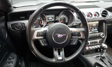 Mustang