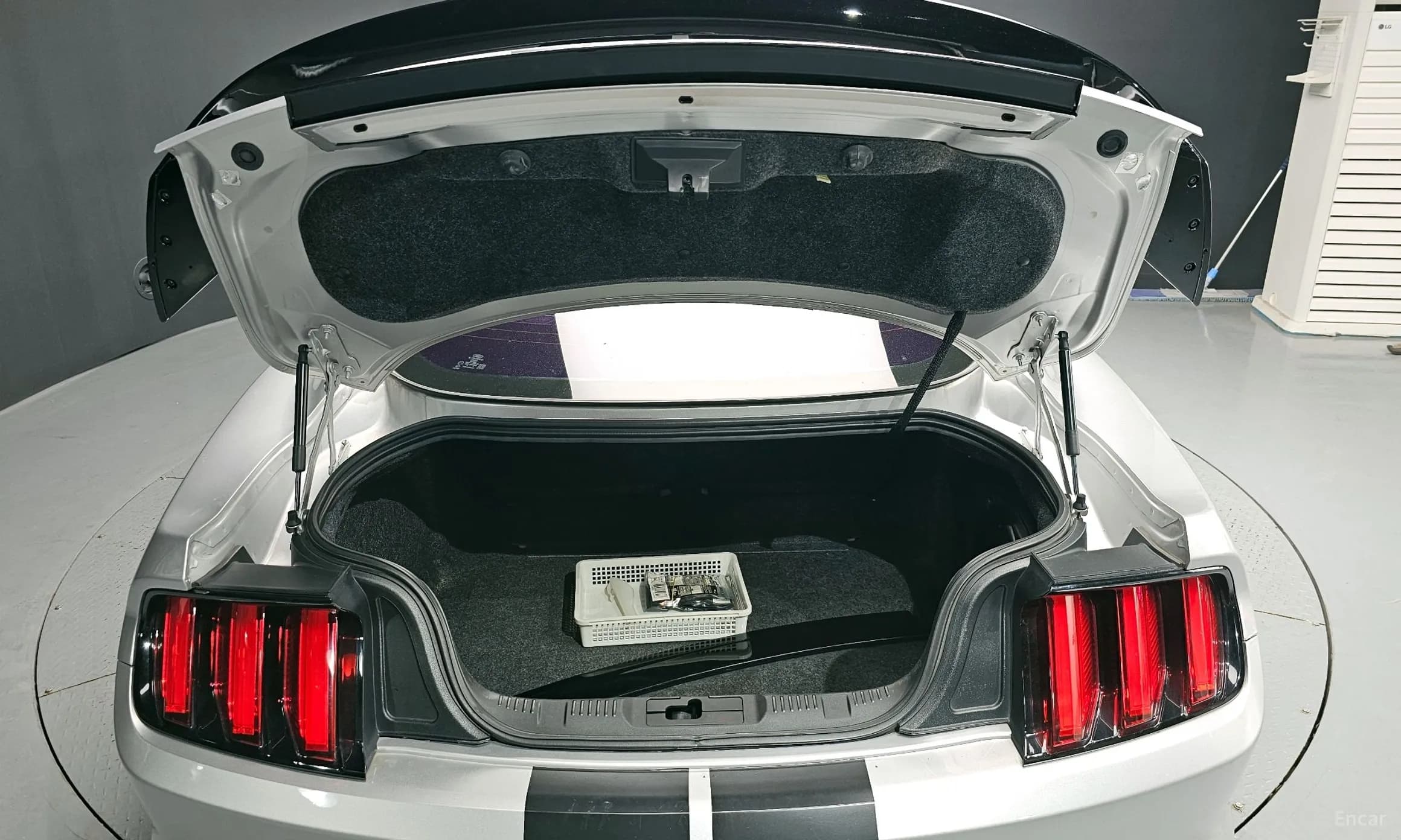 Mustang