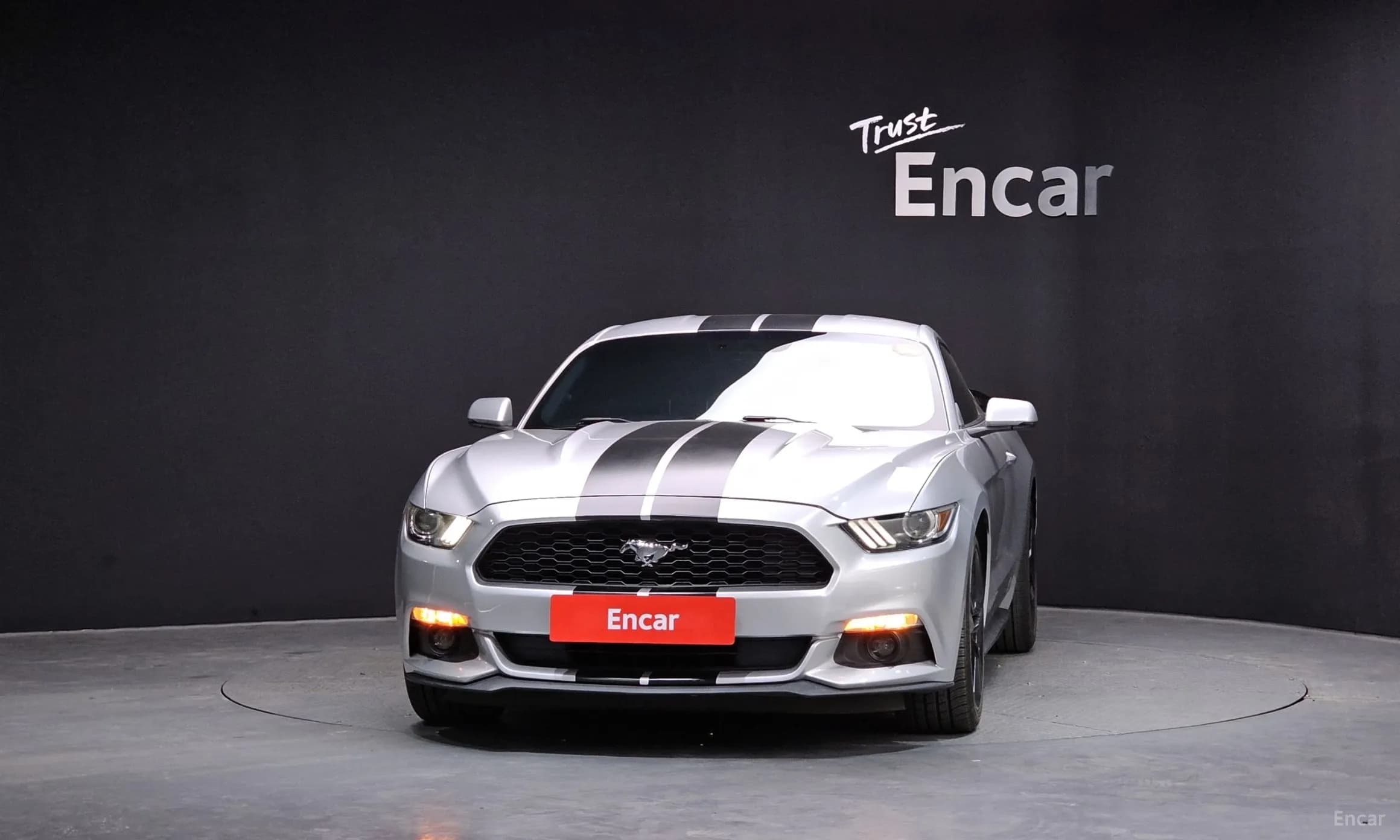 Mustang