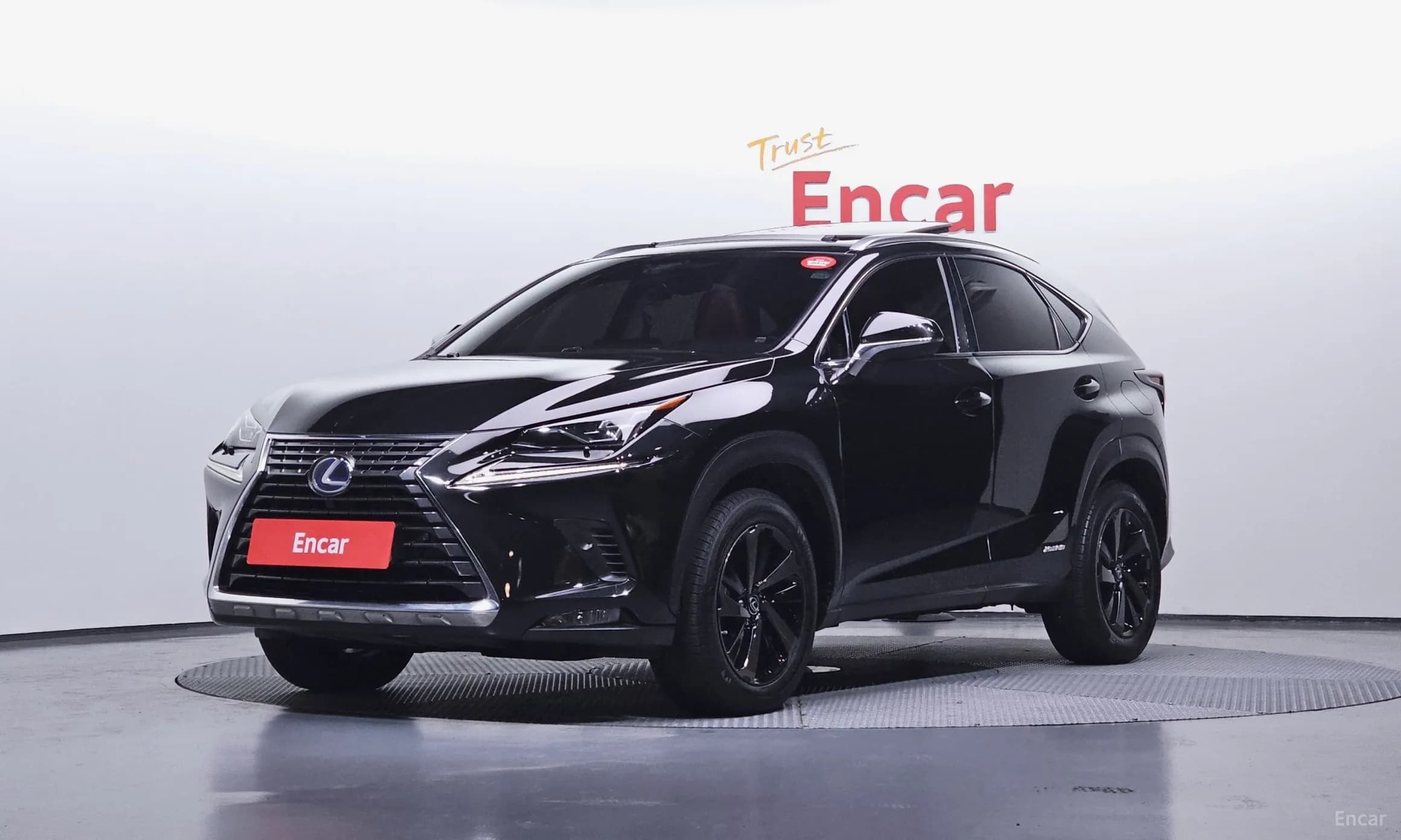 NX300h