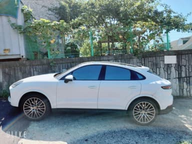 Cayenne (PO536)