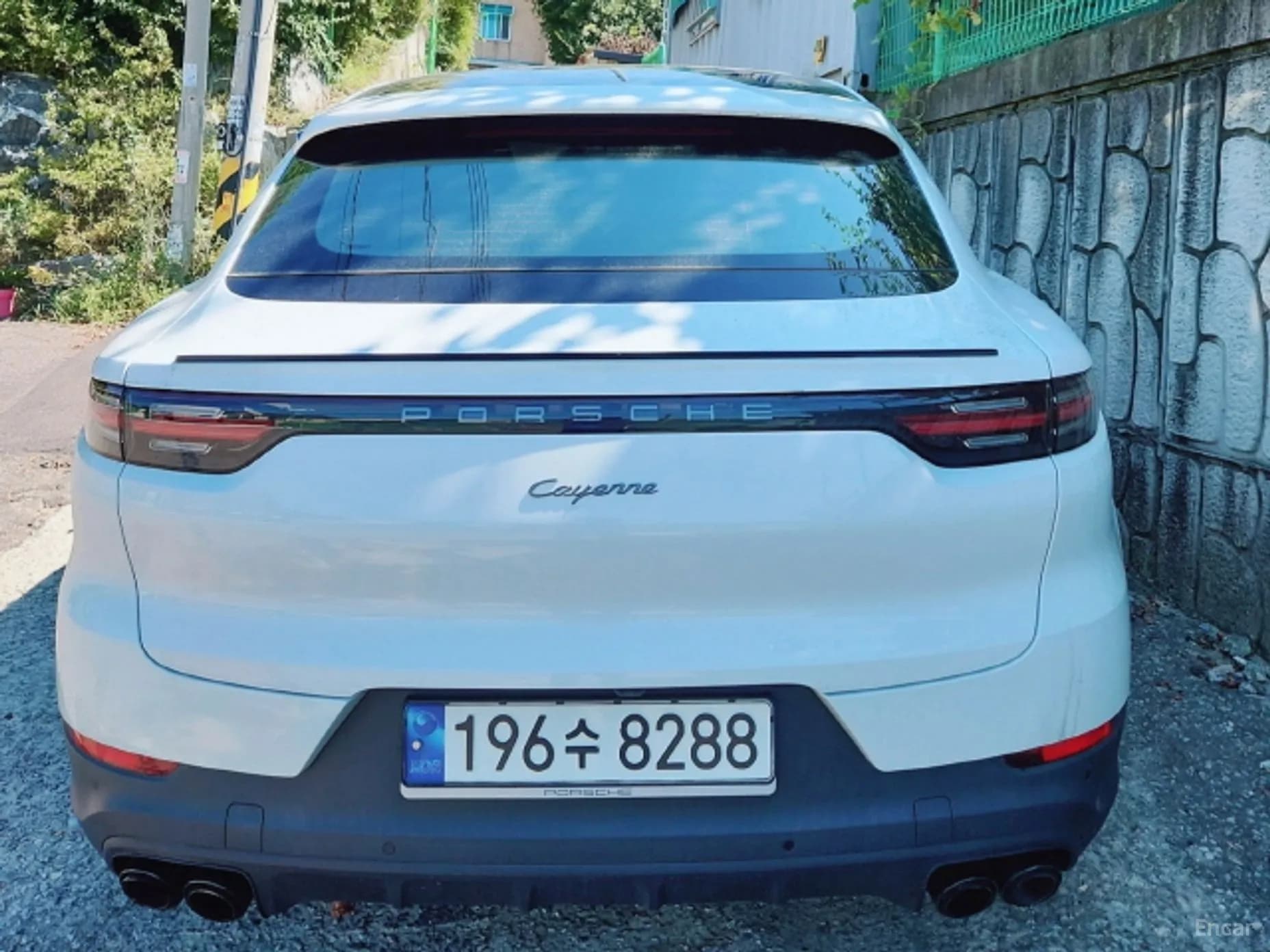 Cayenne (PO536)
