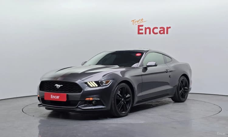 Mustang