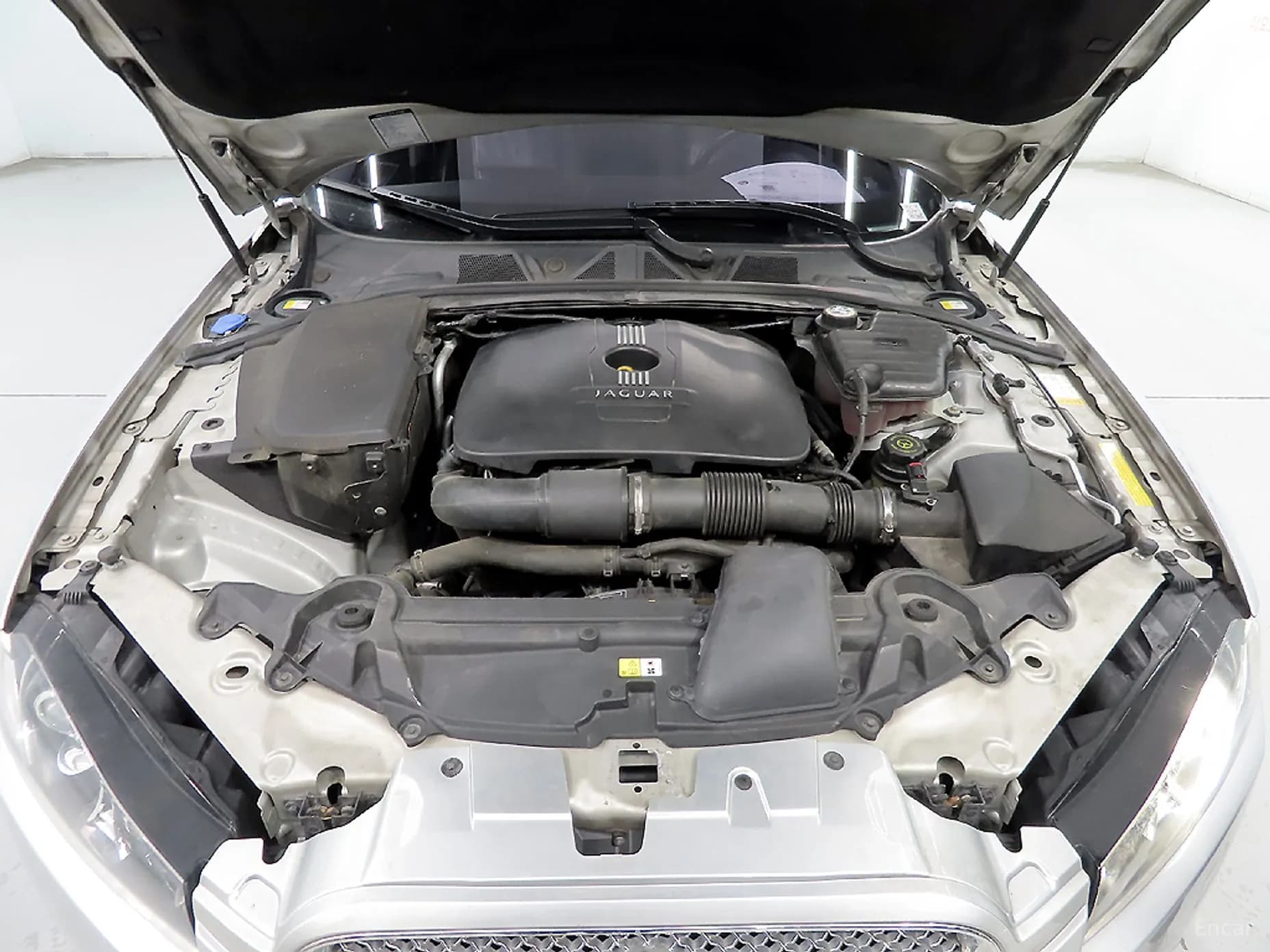 New XF