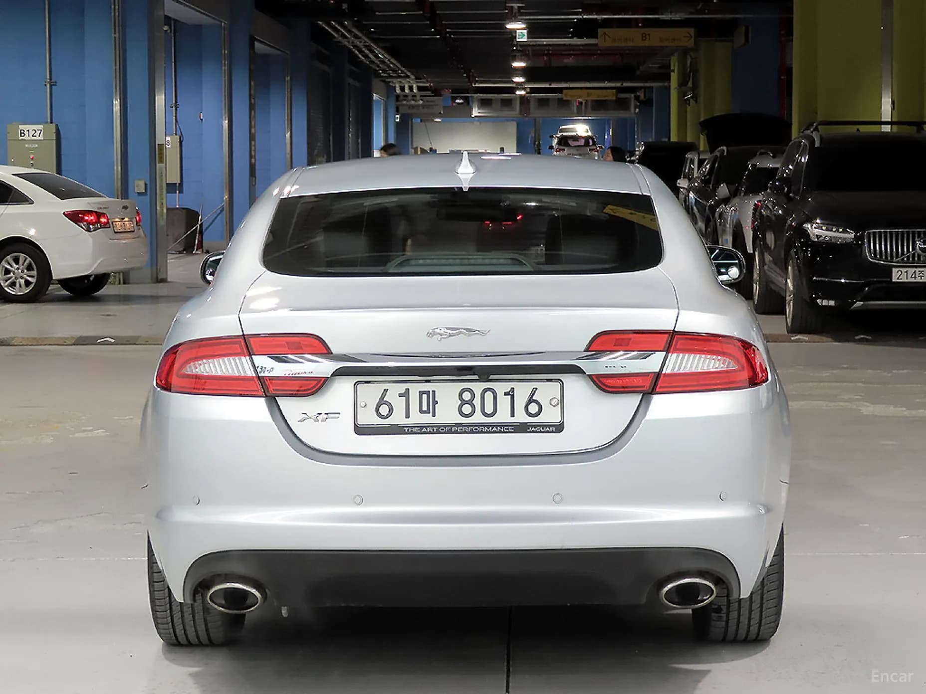 New XF