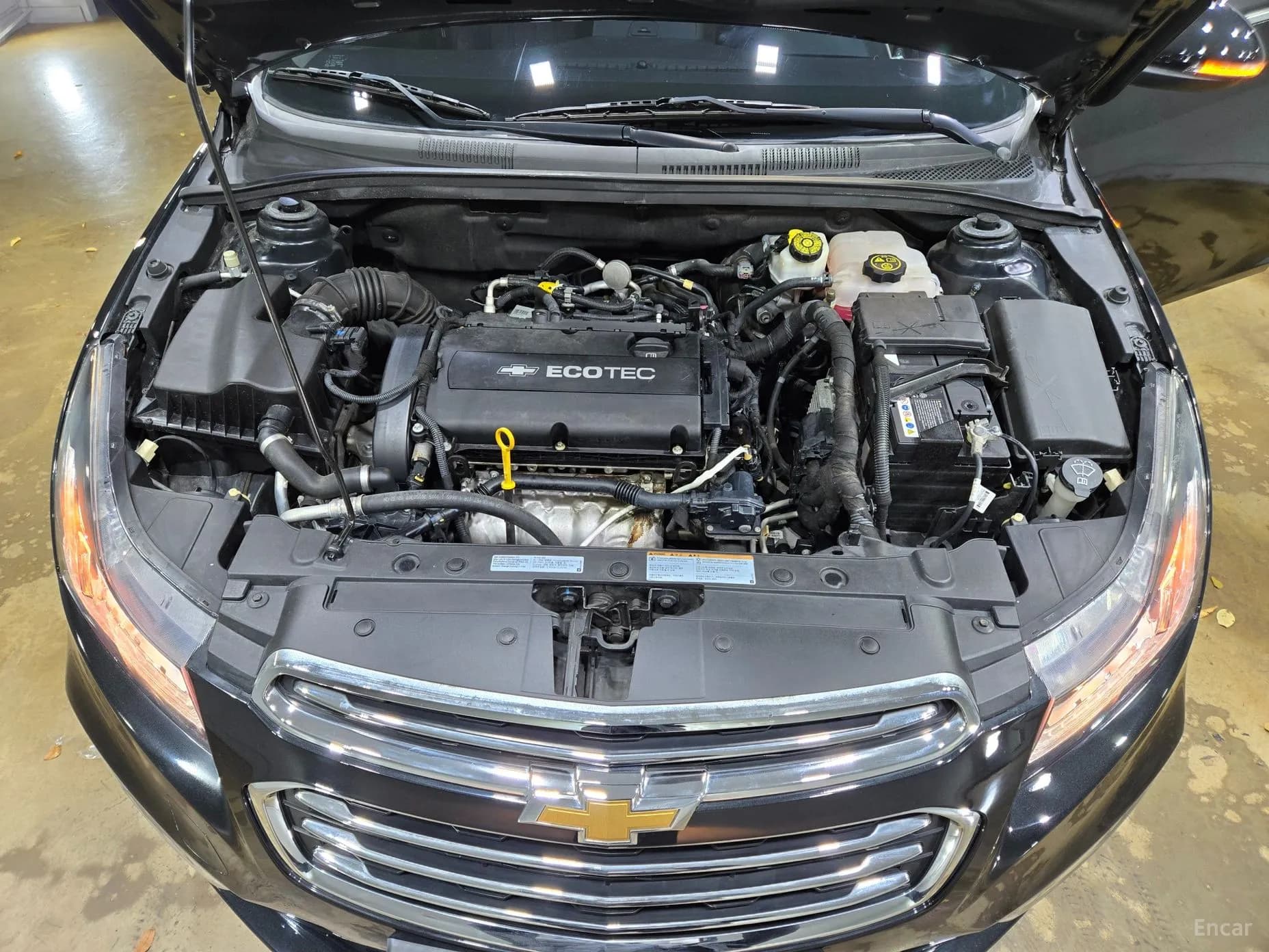 Cruze