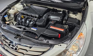 YF Sonata