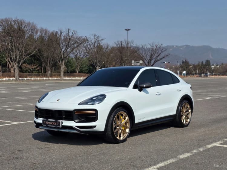 Cayenne (PO536)