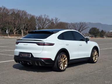 Cayenne (PO536)