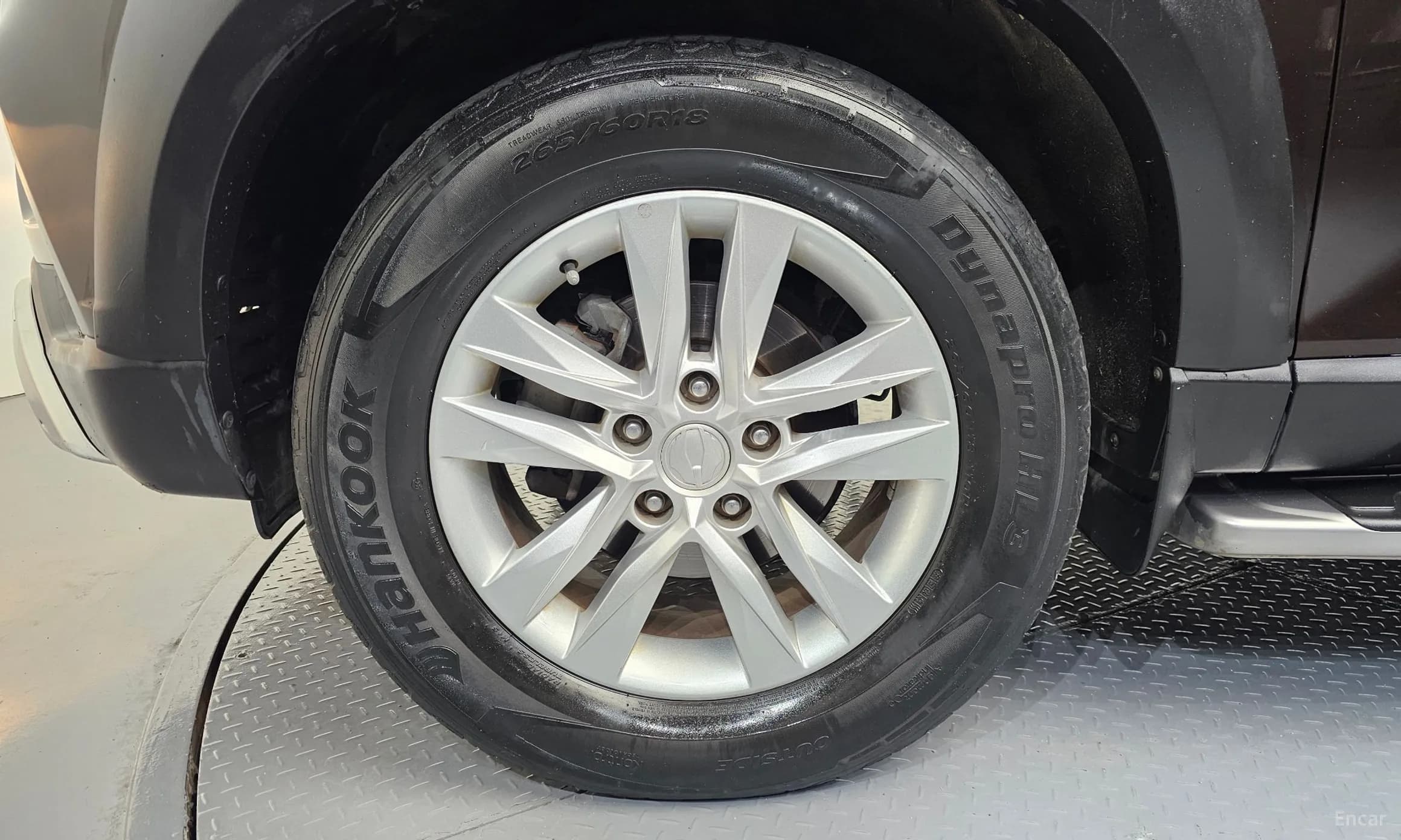 Rexton Sports