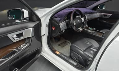 New XF