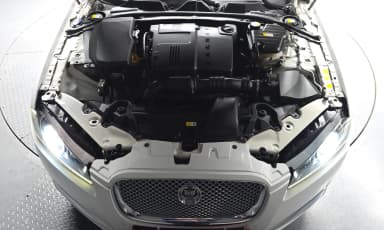 New XF