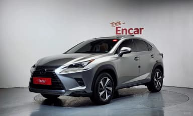 NX300h