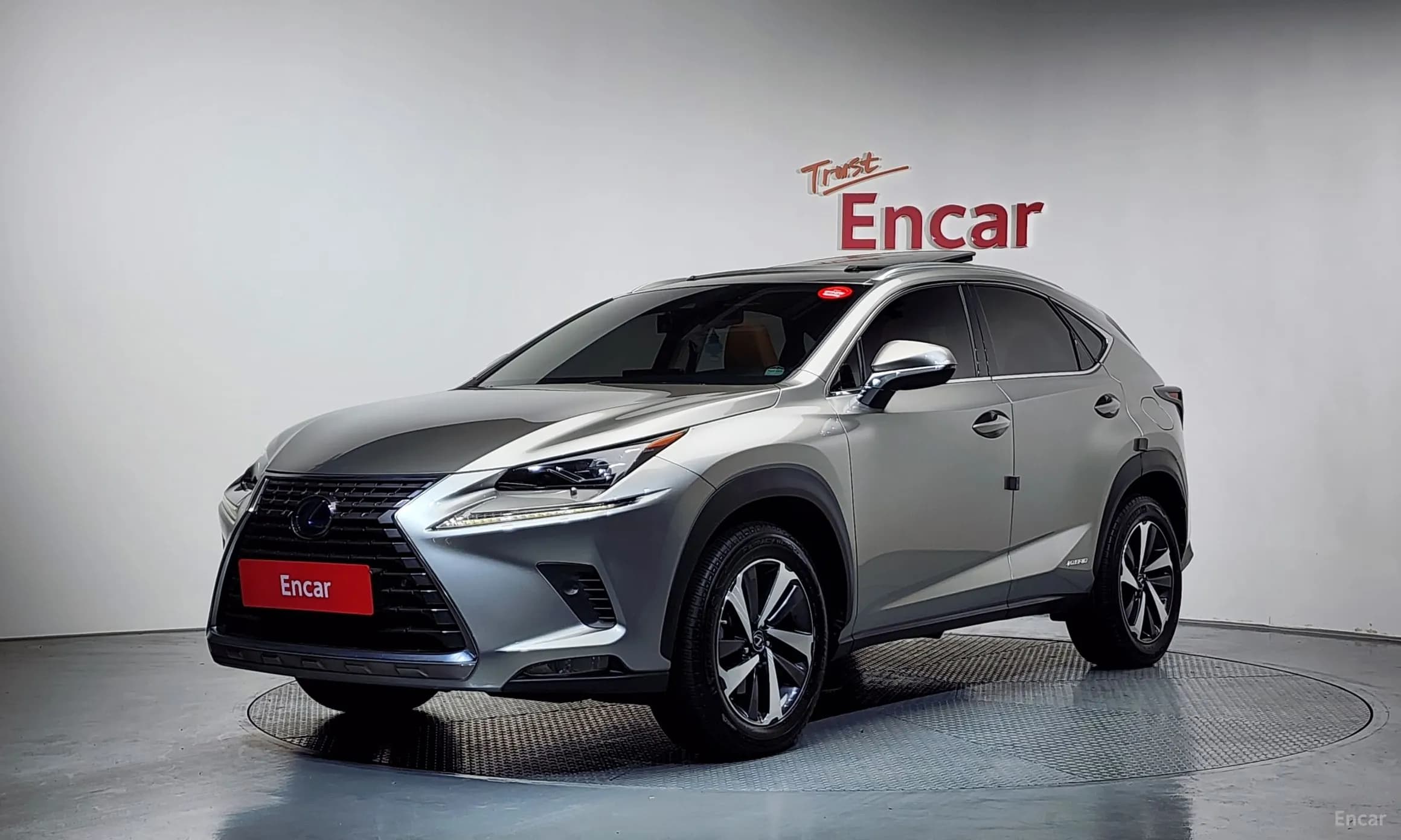 NX300h