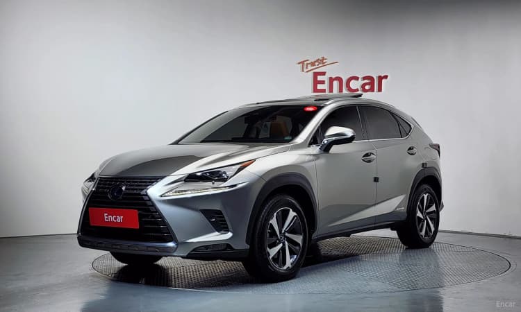 NX300h