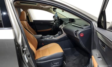 NX300h
