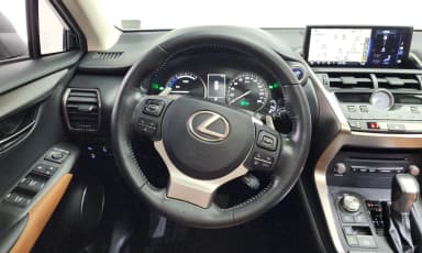 NX300h