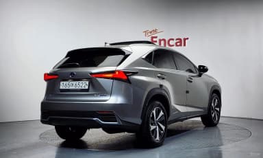 NX300h