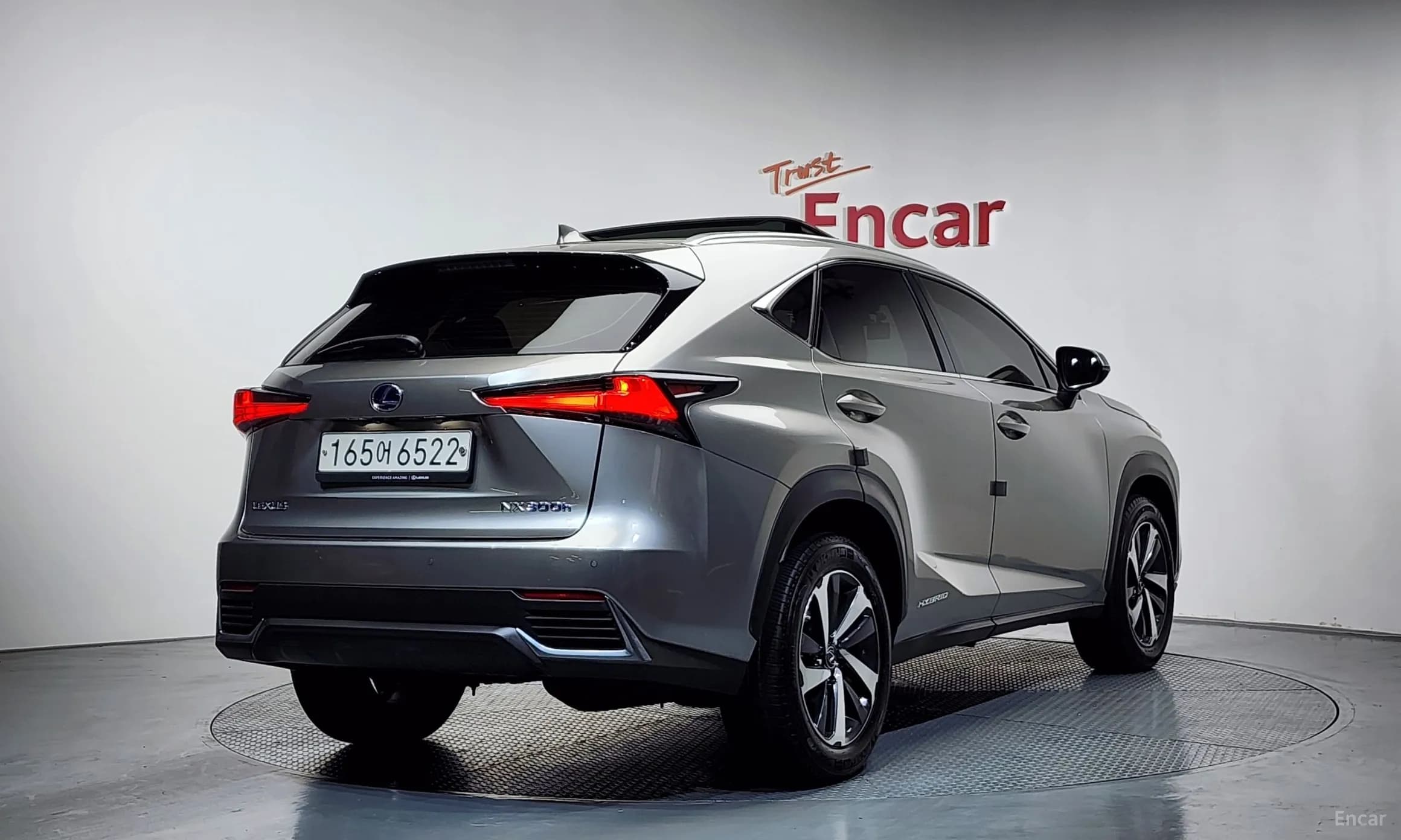 NX300h
