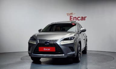 NX300h