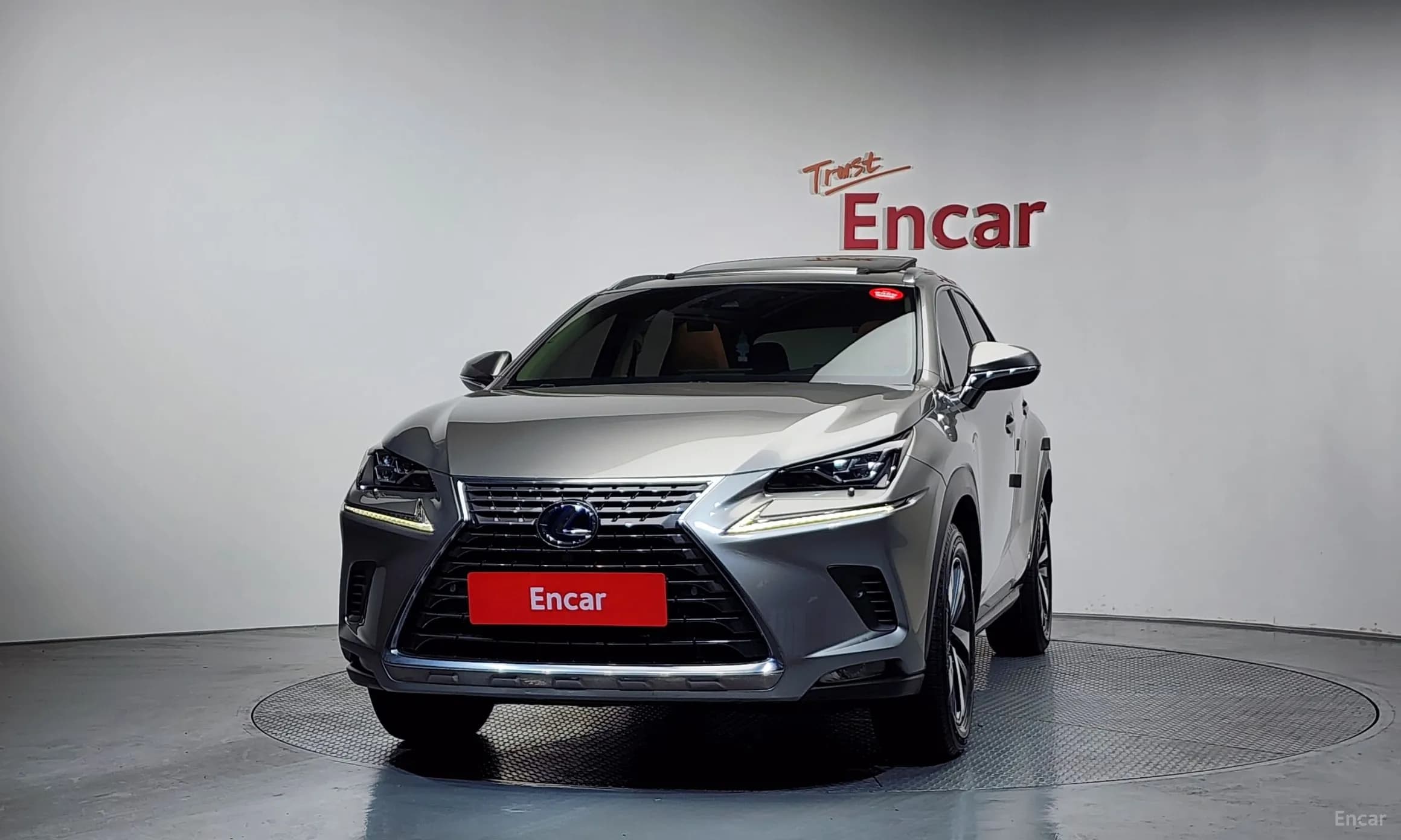 NX300h
