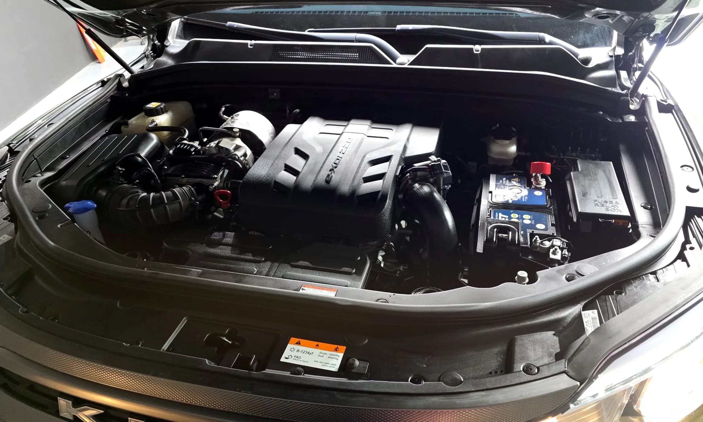 Rexton Sports Khan