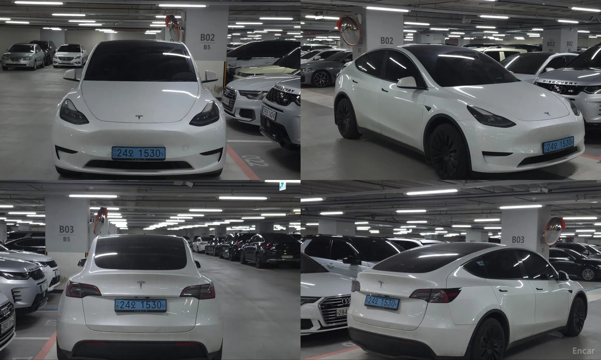 Model Y