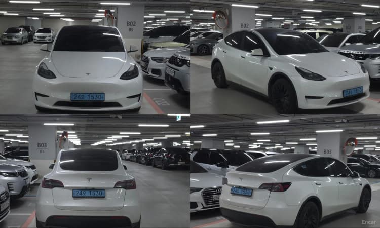 Model Y