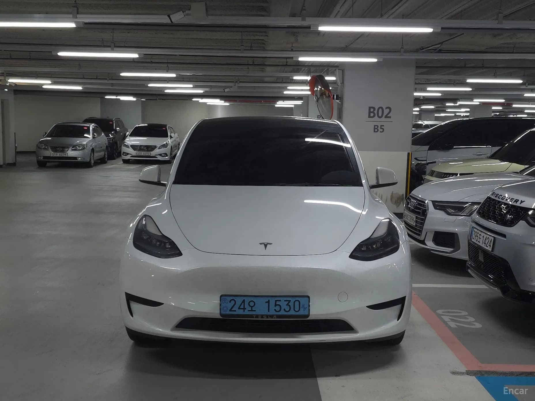 Model Y