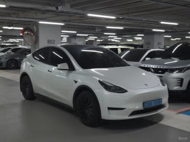 Model Y