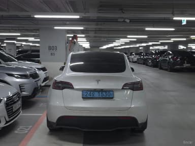 Model Y