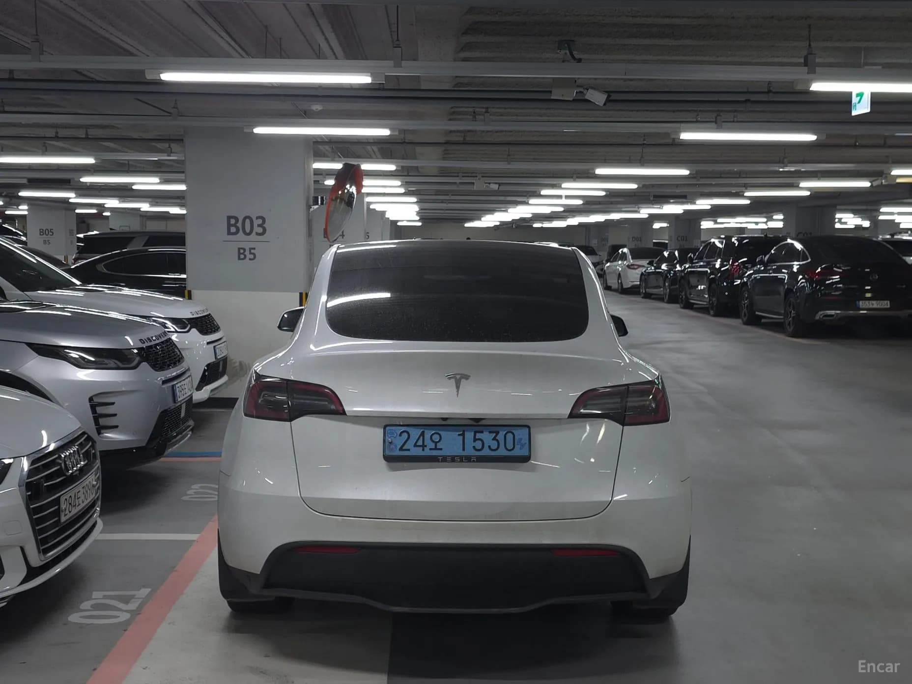 Model Y