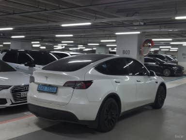 Model Y