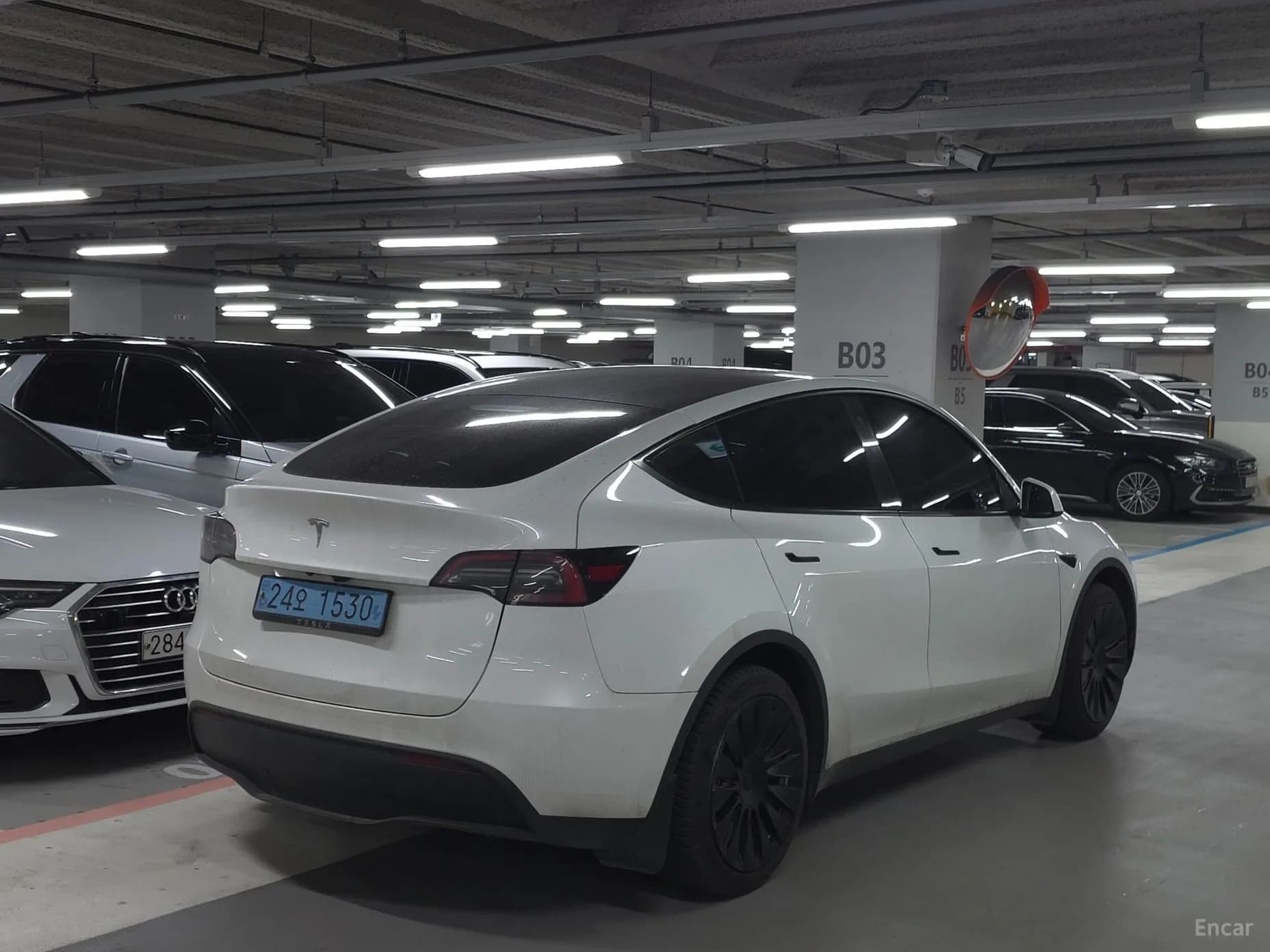 Model Y