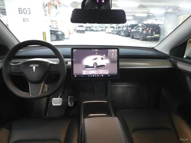 Model Y