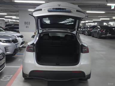Model Y