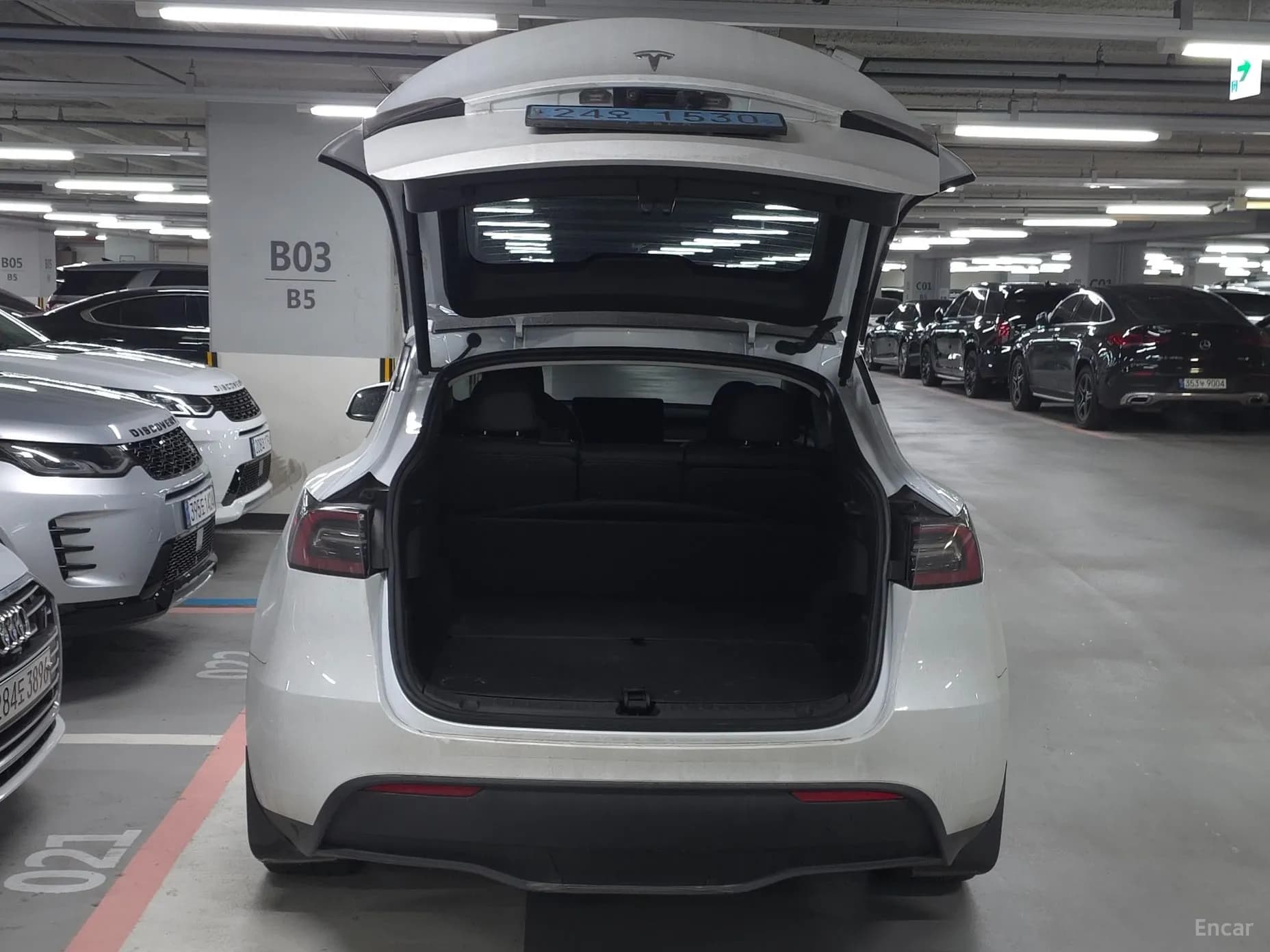 Model Y