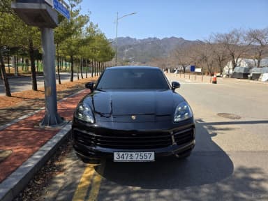 Cayenne (PO536)