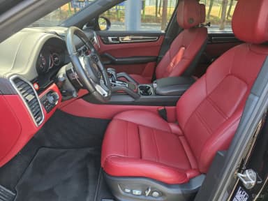 Cayenne (PO536)