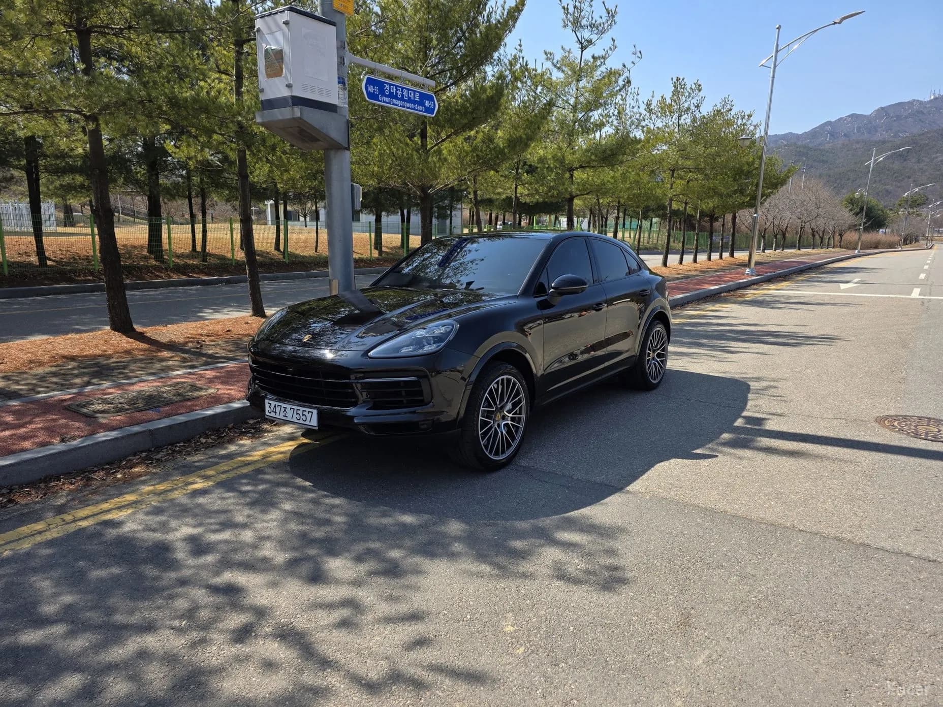 Cayenne (PO536)