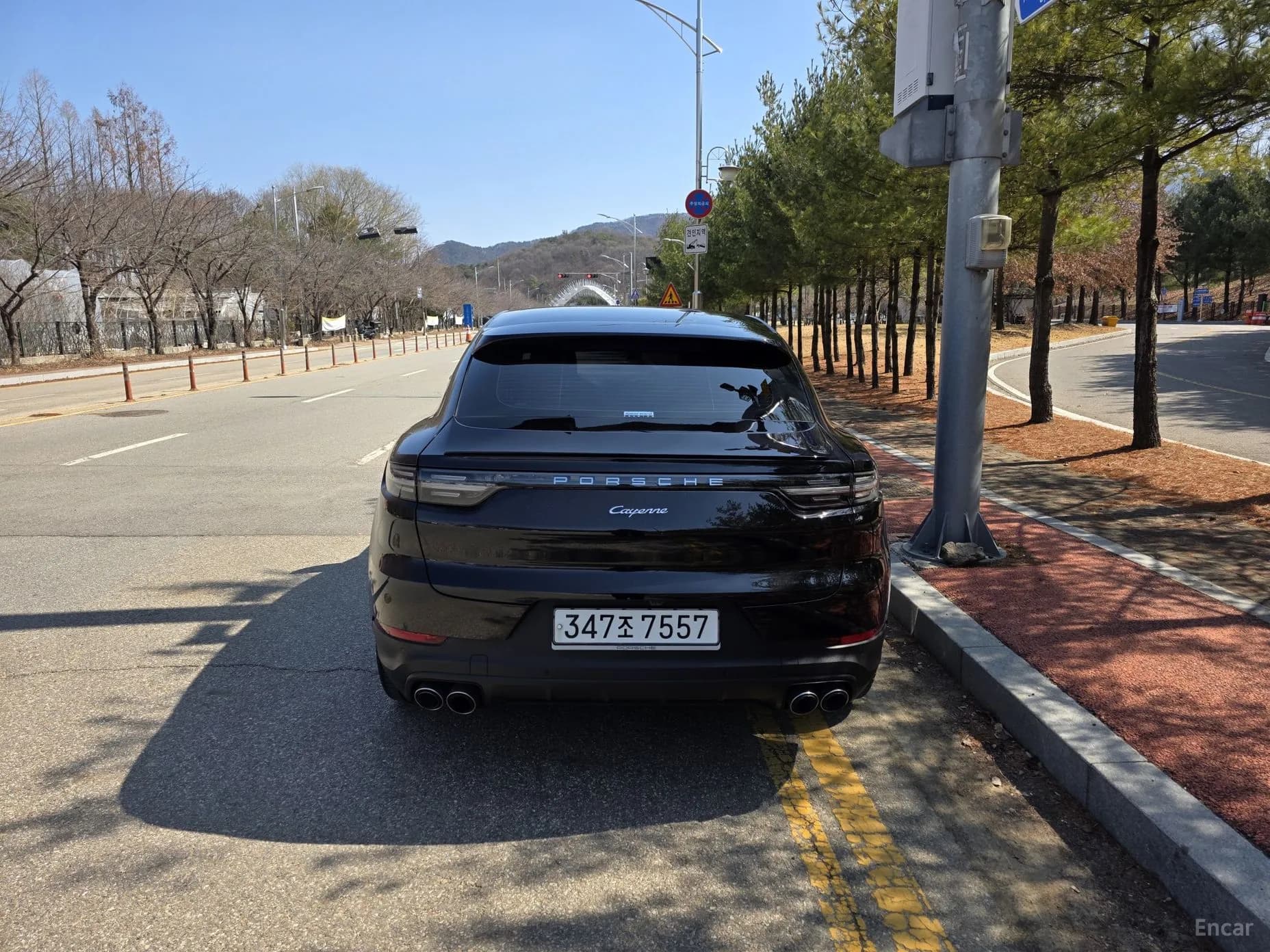 Cayenne (PO536)