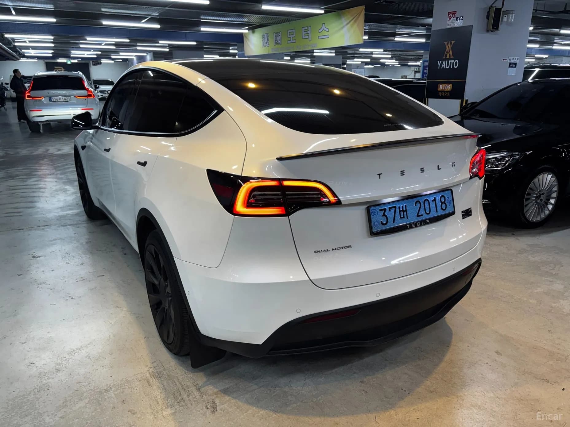 Model Y