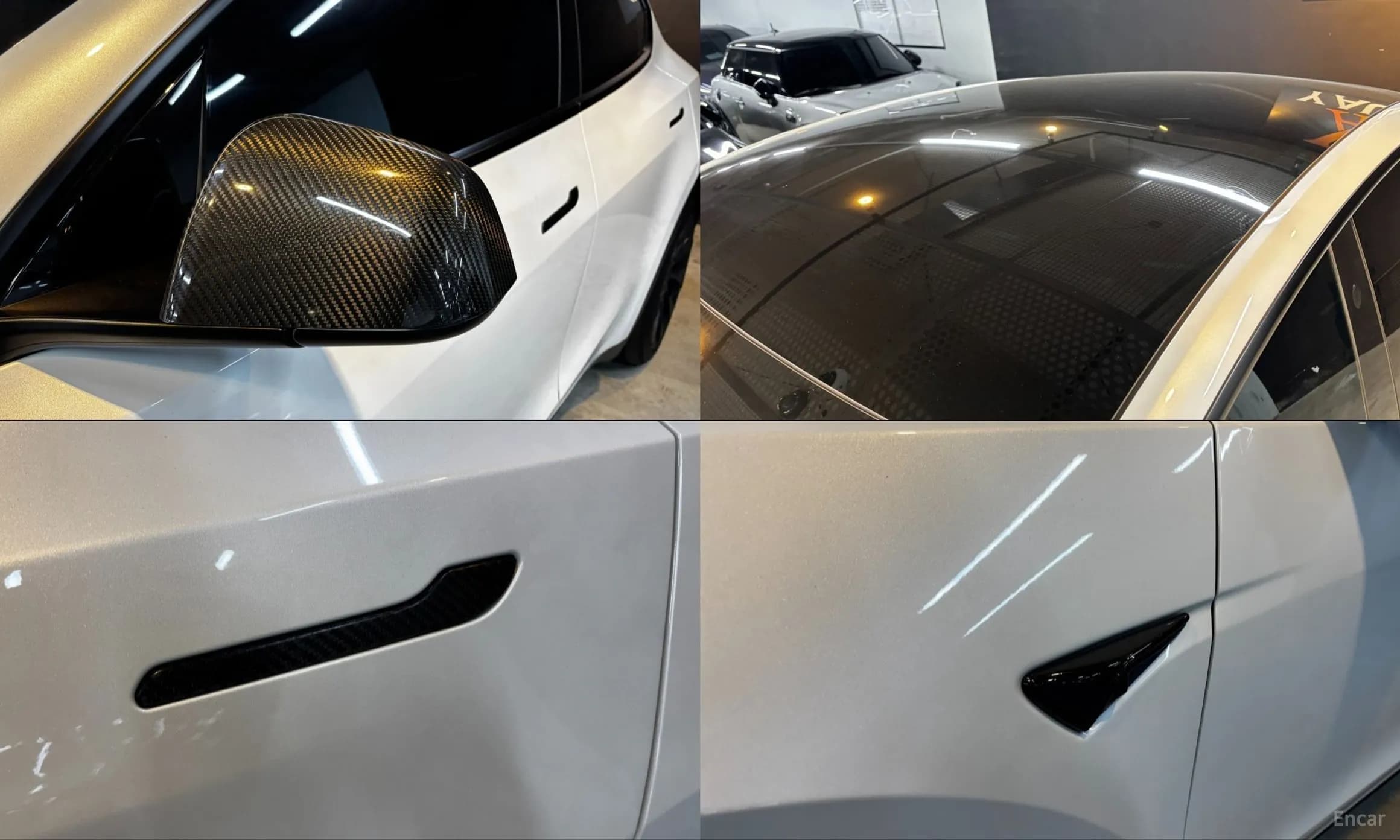 Model Y