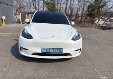 Model Y