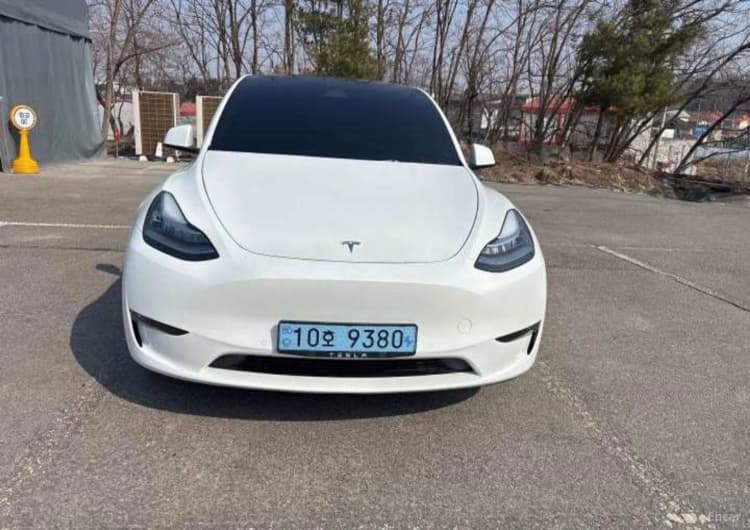 Model Y